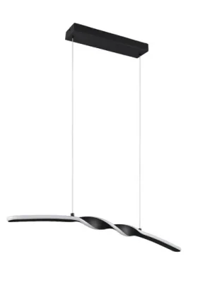 Závěsné světlo LED Ginko, černá matná, kov, délka 79 cm Přímo Od Výrobce