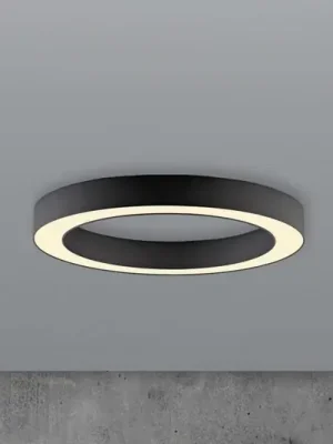 LED stropní svítidlo PURE Lines, Ø 35 cm, grafitová barva, CCT, dálkové ovládání Víkendová Akce