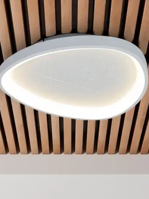 LED stropní svítidlo Argesa Ø 60,5 cm, bílé, CCT, dálkové ovládání Objednat Nyní