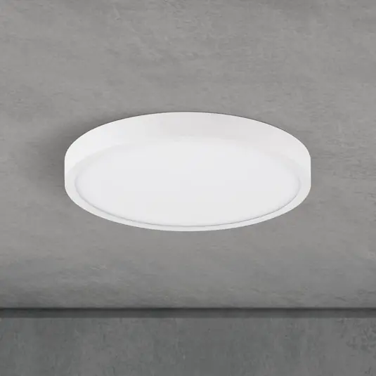 LED stropní svítidlo Disc, bílé Ø 24 cm, CCT, kov/plast Horká Nabídka