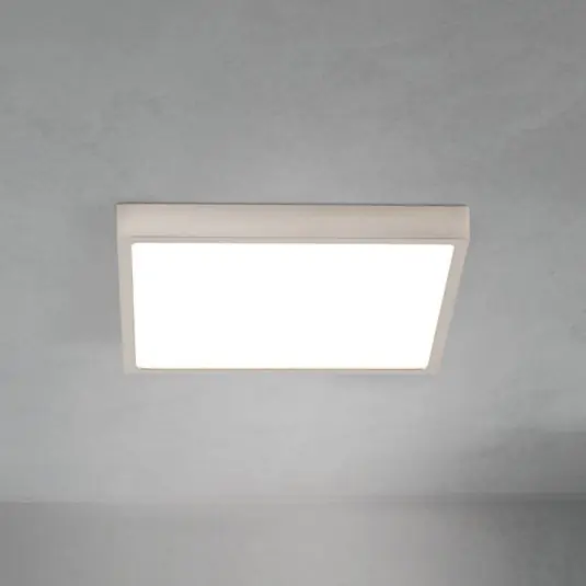 LED stropní svítidlo Disc, satinovaná niklová barva, délka 24 cm, CCT Akční Nabídka