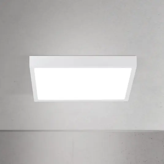 LED stropní svítidlo Disc, bílé, délka 24 cm, CCT, kov Must-Have