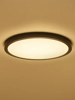 Calex Smart LED stropní svítidlo HALO Ø 30 cm černé IP54 RGB CCT Cenová Bomba