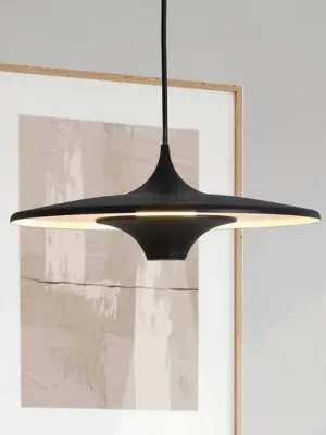 Závěsné LED světlo Rene, černé, Ø 42 cm, kov Expresní Doručení