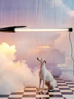 SELETTI LED závěsné světlo BIC, černé, délka 173 cm Nejlepší Cena