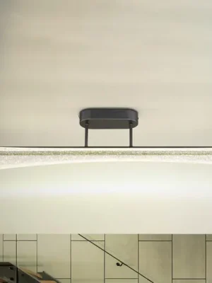 LED stropní svítidlo Malinda, čiré/antracitové, délka 81 cm, CCT Bezpečná Platba