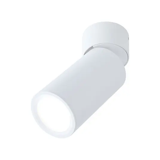 Horká Nabídka LED stropní svítidlo Paulmann Turnal Coin, bílá, kov, 2 700 K
