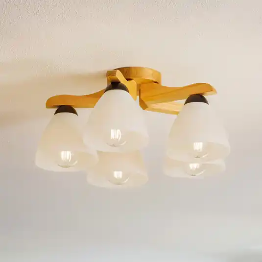 Omezená Nabídka Stropní světlo Haro, dub/bílá, pětilampové