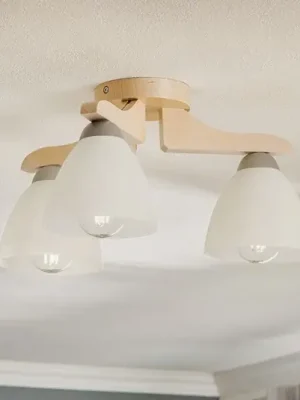 Levný Stropní světlo Haro, buk bílý/bílý, 3 žárovky