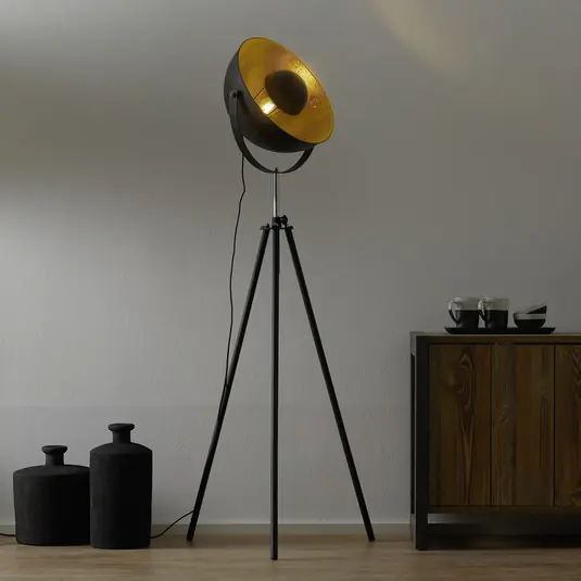 Objednat Nyní Stojací lampa Lenn na třech nožkách, černo-zlatá