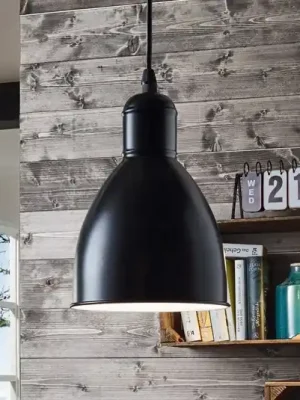 Sleva Závěsné světlo Priddy 1 zdroj, černé