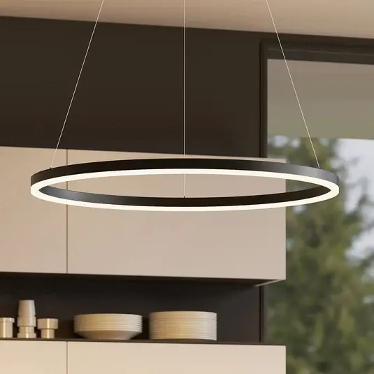 Závěsné světlo Arcchio Albiona, černé, 1 kruh, Ø 80 cm Finální Výprodej