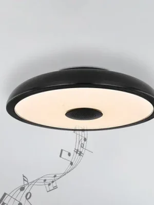Must-Have LED stropní světlo Raffy reproduktor RGBW černá
