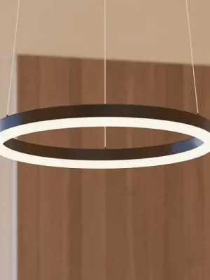 Závěsné světlo Arcchio Albiona, černé, 1 kruh, Ø 40 cm Tovární Cena