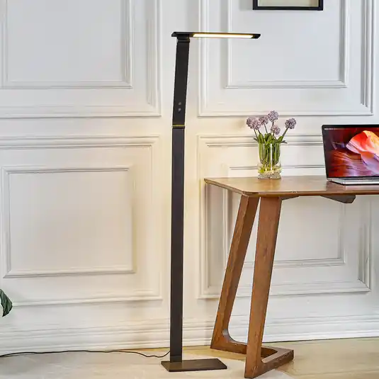 Stmívací stojací lampa Salome, variabilní světlo Jen Po Omezenou Doba