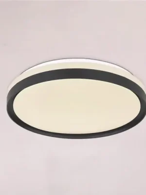 Výprodej LED stropní světlo Sonny, černá, CCT, Ø 39 cm