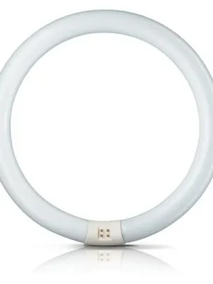 Výhodná Nabídka G10q 32W 865 světelný kruh Master Circular TL-E