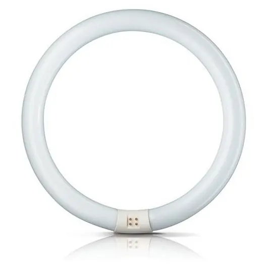 Výhodná Nabídka G10q 32W 865 světelný kruh Master Circular TL-E