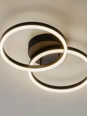 Rychlé Dodání LED stropní světlo Giotto, dva zdroje, černá