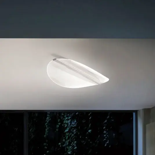 LED stropní svítidlo Diphy, 54 cm Nakupujte Hned