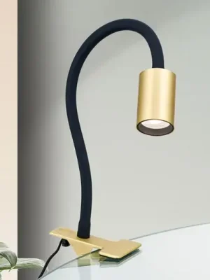 LED světlo se svorkou Kurt mosaz matná Must-Have