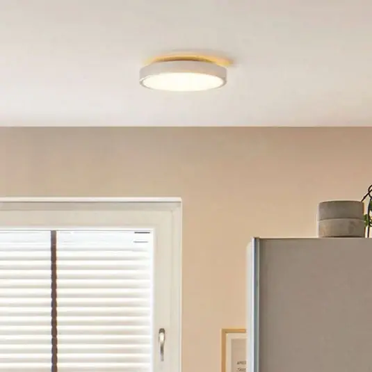 Zlevněný Paulmann Aviar LED stropní světlo, 2 700K, Ø 30cm