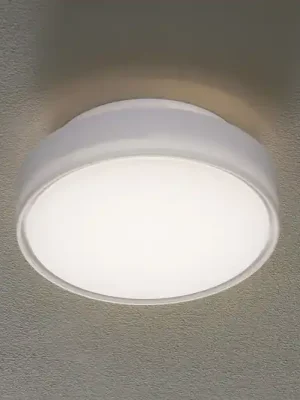 Stropní LED svítidlo Hatton, IP65, 25 cm Originální