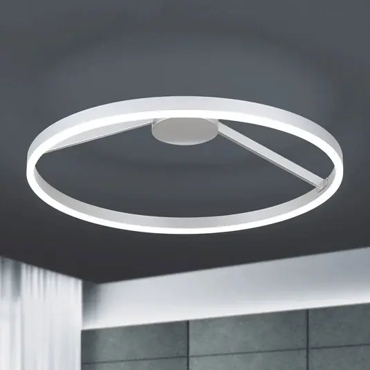 LED stropní svítidlo Robert Ø 60 cm Časově Omezené