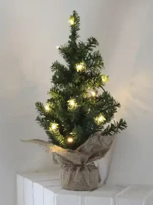Autentický led jedle strom v jutovém saku