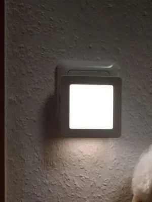 Horká Nabídka Paulmann Esby LED noční světlo, zásuvka, hranatá