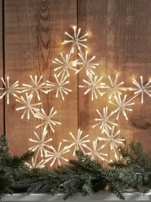 LED dekorativní světlo Flower Star venkovní Odeslání Ihned