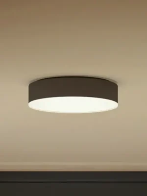 Koupit Online Stropní svítidlo Philips Hue Enrave LED 26,1 cm černé