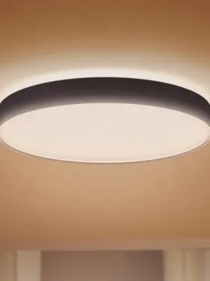 Nová Kolekce Stropní svítidlo Philips Hue Enrave LED 55,1 cm černé