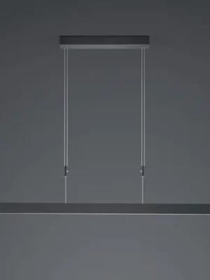 Závěsné svítidlo Delta LED, 100 cm, černé Koupit Online