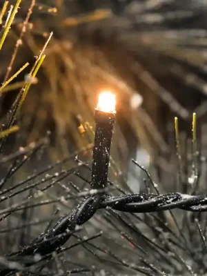 Akce Venkovní transformátor v ceně - LED světelný řetěz Micro 400