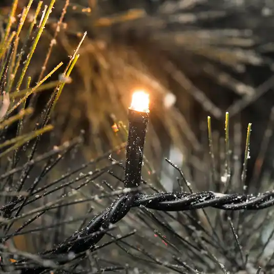 Akce Venkovní transformátor v ceně - LED světelný řetěz Micro 400