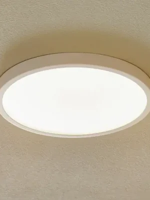 LED stropní svítidlo Vika, kulaté, bílá, Ø 30cm Aktuální