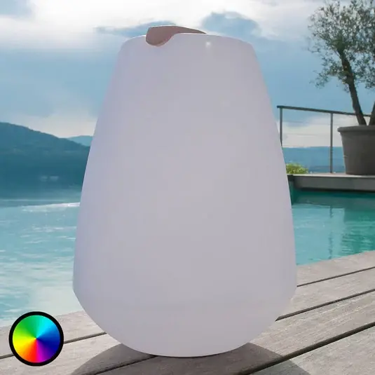 Cenově Výhodný Přenosné LED dekorativní světlo Vessel