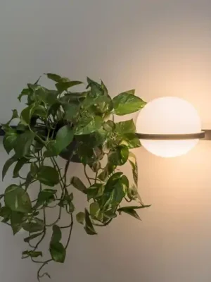 Finální Výprodej Vibia Palma 3702 Nástěnné světlo, květináč, grafit