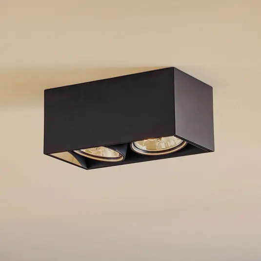 FLOS Compass Box H135 - Stropní světlo 2žár černé Speciální Cena