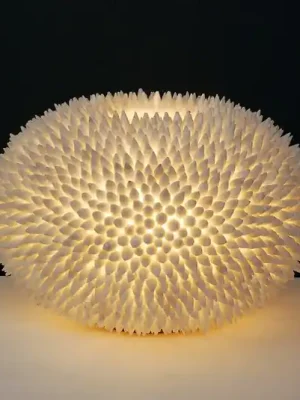 Nakupujte Hned Stolní lampa Sirena Bianco
