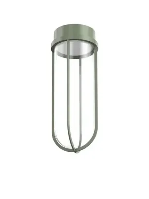 Koupit Online FLOS In Vitro Ceiling stropní světlo 2 700K zelená