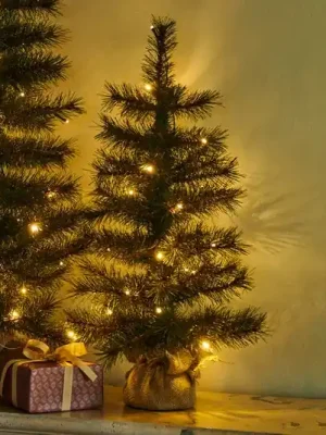 Tovární Cena LED stromek Alvin pro interiér i exteriér, výška 60 cm