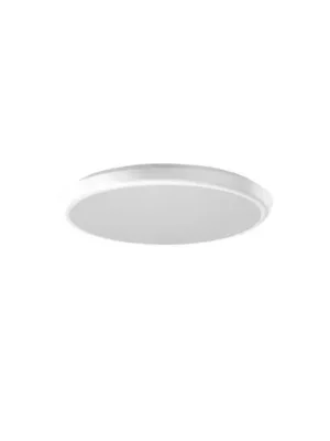 Kup Teď RZB HB 502 LED stropní svítidlo, Ø30cm, 25W, 4000K