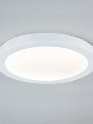 Akční Cena Paulmann Abia LED panel Ø 30cm 2 700 K bílá matná