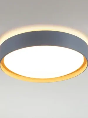 Stropní svítidlo LED Emilia, třístupňově stmívatelné, šedé Cenová Bomba