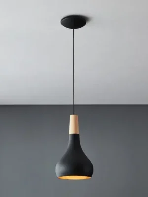 Závěsné svítidlo Sabinar, 1 světlo, černé, Ø 18 cm Top Prodej