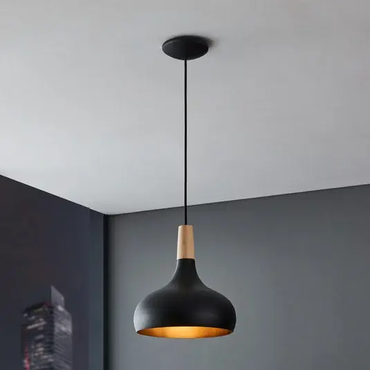 Akce Závěsné svítidlo Sabinar, 1 světlo, černé, Ø 28 cm