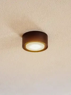 Bezpečná Platba Ocelový stropní reflektor Flea, černý