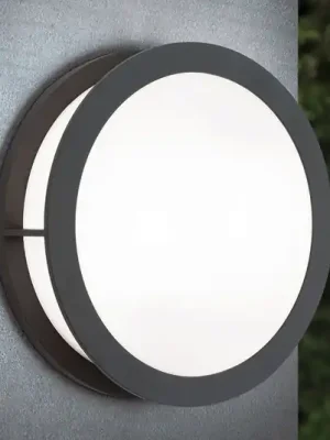 Venkovní nástěnné světlo Henry, Ø 30cm antracit Poslední Šance